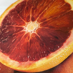 Citrus sinensis sanguinelli, blood orange