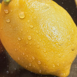 Citrus limon lunario
