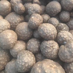 Dioscorea bulbifera, Igname bulbifère, pomme en l'air