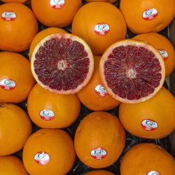Citrus sinensis Tarocco Tapi
