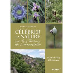 Célébrer la nature sur le Chemin de Compostelle, du Puy en Velay à Roncevaux - Antoine ISAMBERT