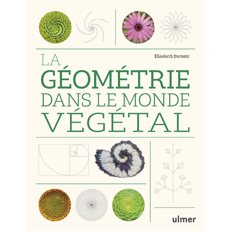 La géométrie dans le monde végétal - Élisabeth DUMONT