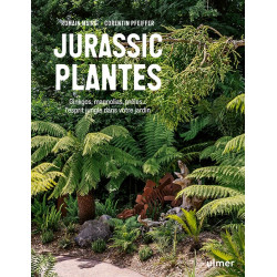 Livre Jurassic Plantes, MAIRE Romain · PFEIFFER Corentin