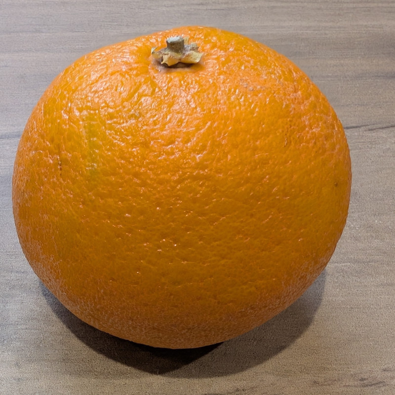 Citrus Ujukitsu by Exotica Tolosa