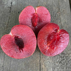 Prunus Lovita®, plum