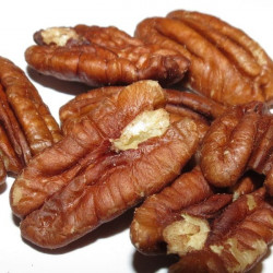 Online sale of pecan nuts (Carya illinoensis) on A l'ombre des figuiers