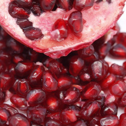 Online sale of pomegranate trees,  Punica granatum