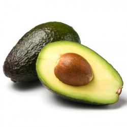 Vente en ligne d'avocatiers, Persea americana 