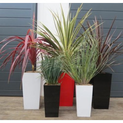 Online sale of ready-potted plants in trendy containers