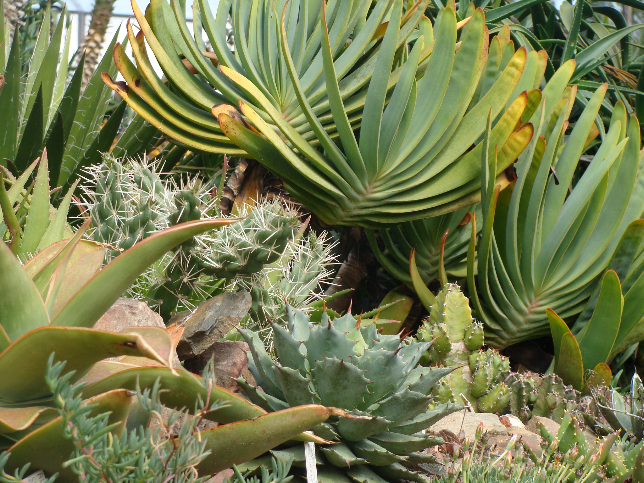 Jardin à Crozon