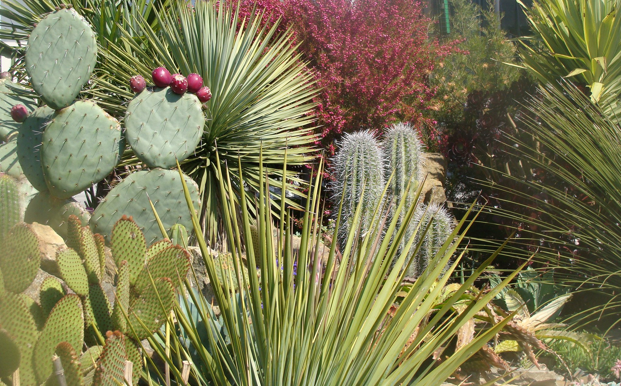 Jardin à Crozon