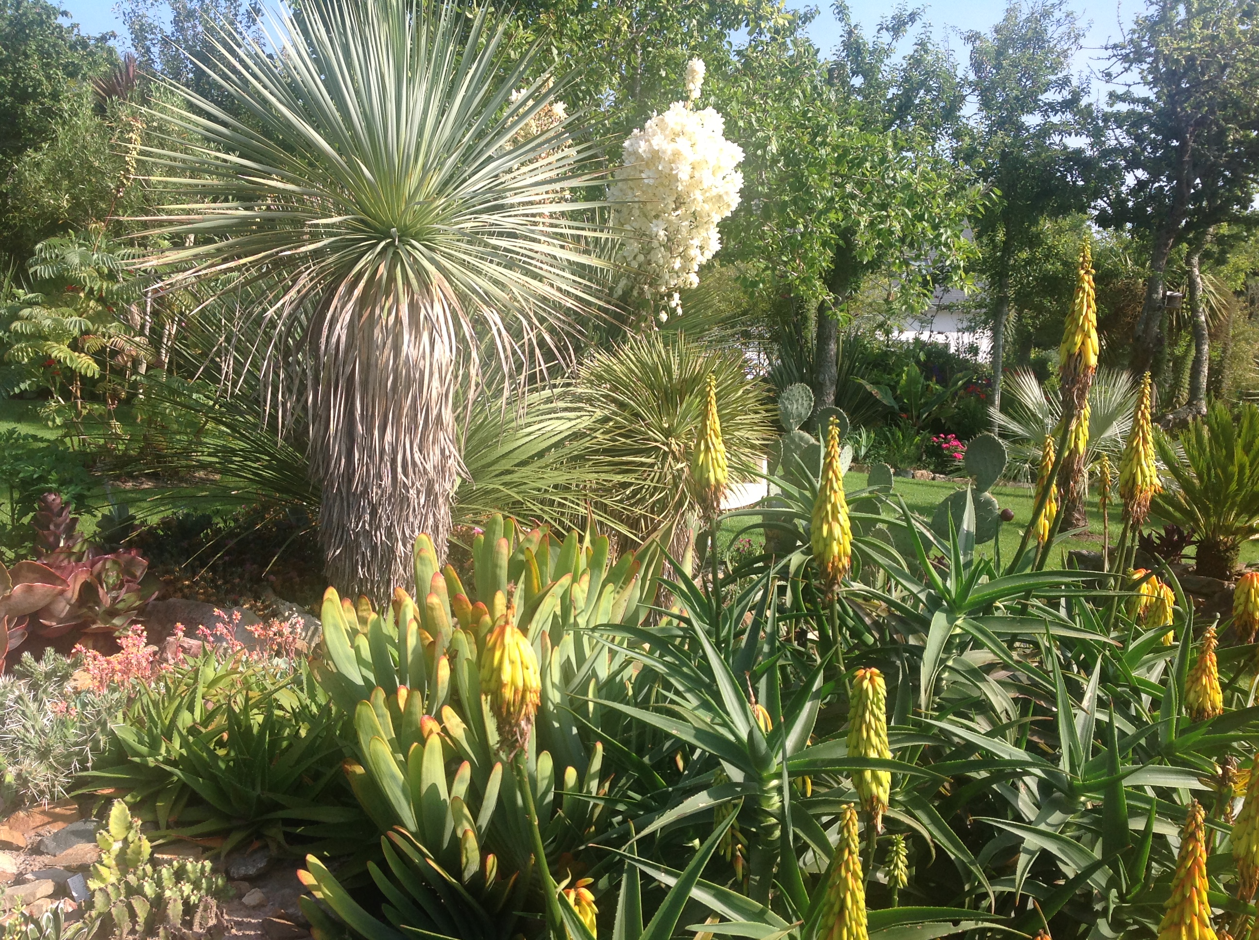 Jardin à Crozon