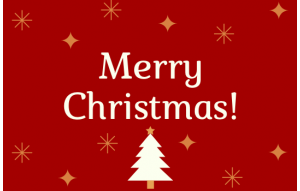 
			                        			Christmas